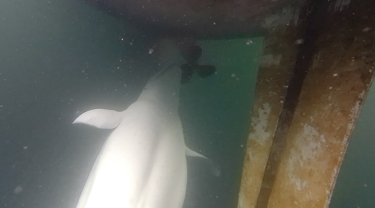 Schermafbeelding 2022-09-26 om 22.24.49