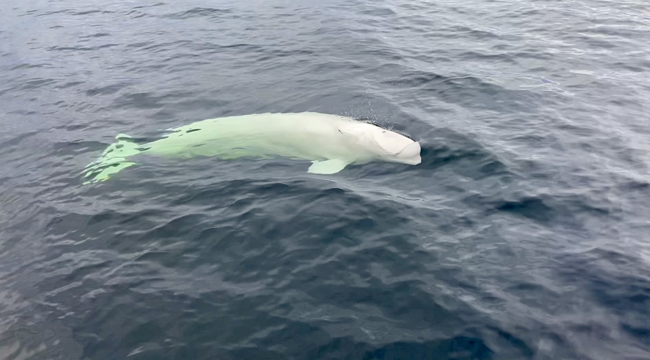 Schermafbeelding 2022-09-26 om 22.29.53