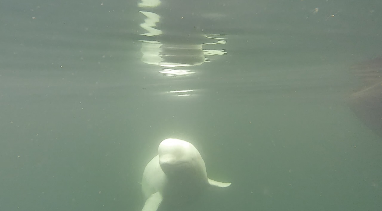 Schermafbeelding 2022-09-26 om 22.30.56