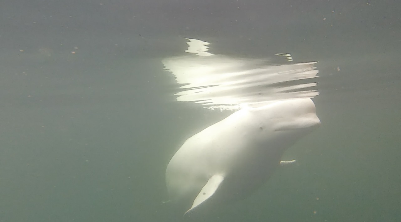 Schermafbeelding 2022-09-26 om 22.31.09