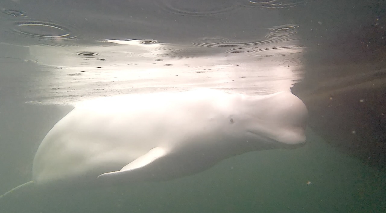 Schermafbeelding 2022-09-26 om 22.31.16