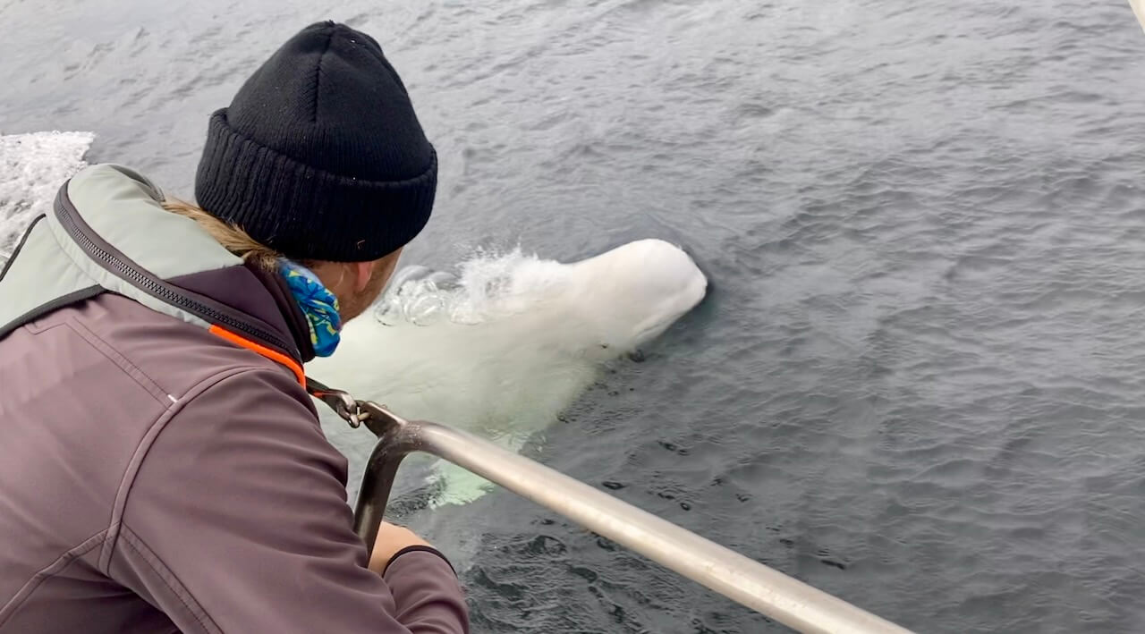 Schermafbeelding 2022-09-26 om 22.38.16