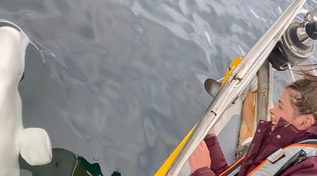 Schermafbeelding 2022-09-26 om 22.41.31