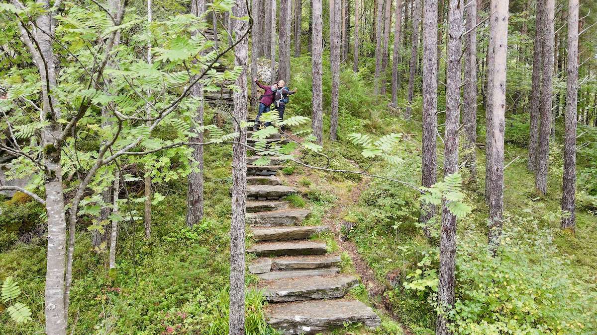 dji_fly_20220918_150906_232_1663506613648_photo