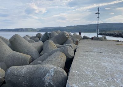 De golfbreker van tetrapods