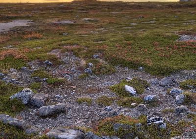 In deze 'cirkel' heeft ooit een Sámi tent gestaan